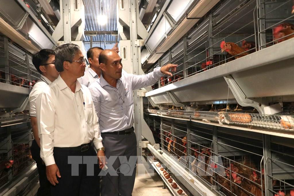 Công ty TNHH Chăn Nuôi Công Nghệ Cao 168
