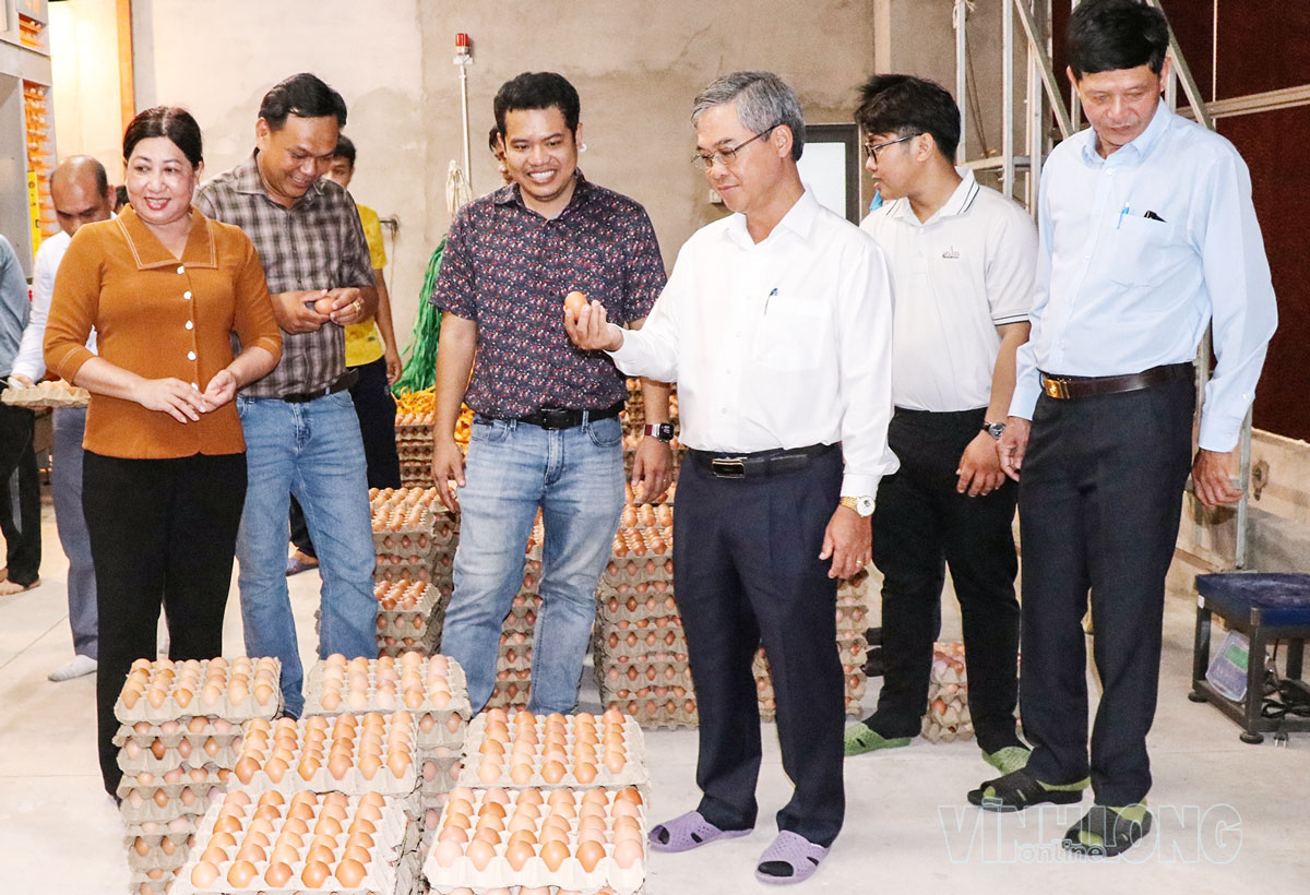 Công ty TNHH Chăn Nuôi Công Nghệ Cao 168
