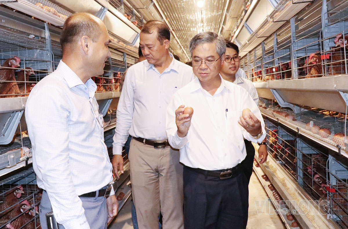 Công ty TNHH Chăn Nuôi Công Nghệ Cao 168